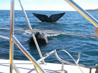 En Puerto Madryn. Chubut. Argentina