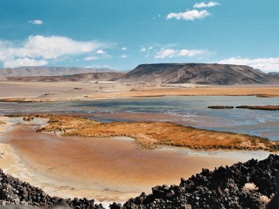 Laguna de Antofagasta. Catamarca. Argentina