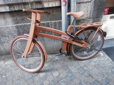 woodbicycle (Nl)