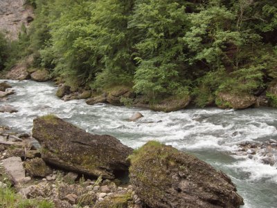 Torrent alpin (FR)