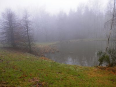 Brouillard sur l 'Ã©tang (East Belgium)