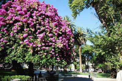 En la Ciudad de CÃ³rdoba. Argentina