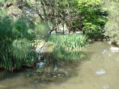 En Escobar. Buenos Aires. Argentina