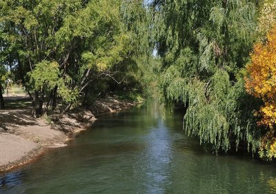 Isla 92. RÃ­o Negro. Argentina