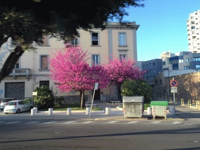 Cagliari - Sardenha - ItÃ¡lia