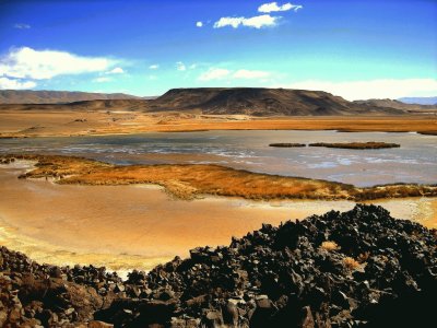 Antofagasta de la Sierra. Catamarca. Argentina