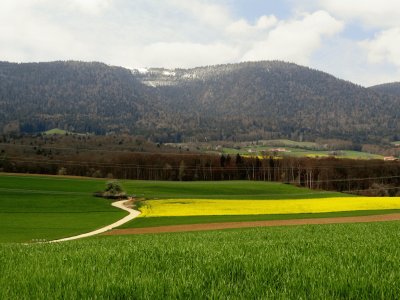 prÃ¨s du Devens