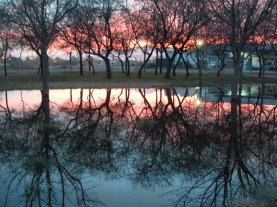 Atardecer en LujÃ¡n de Cuyo. Mendoza. Argentina