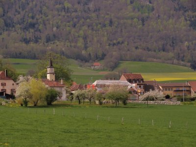 Corcelles