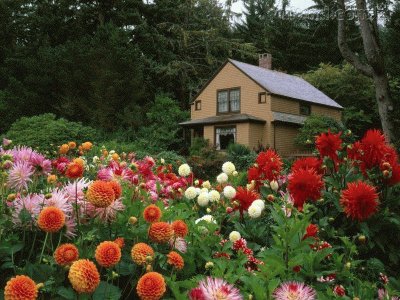 casa com florzinhas