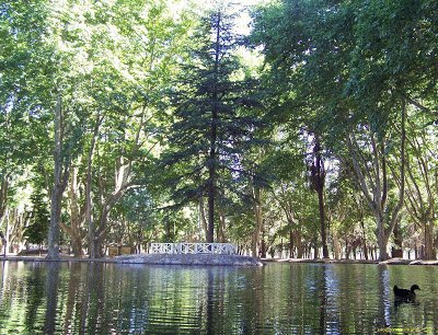 En RÃ­o Cuarto. CÃ³rdoba. Argentina