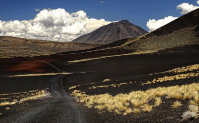 La Payunia. Mendoza. Argentina