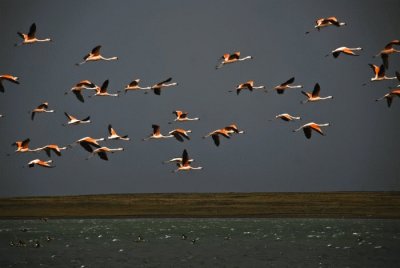 huyendo de la tormenta