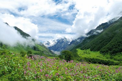 Valle de las Flores. India