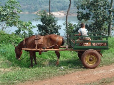 Puerto Piray. Misiones. Argentina