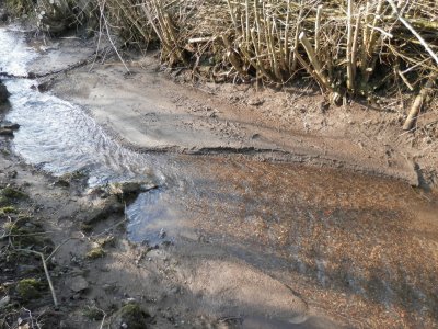 Clear water (East belgium)