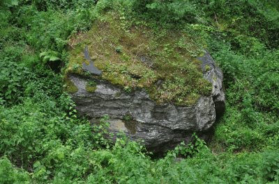 CarriÃ¨re de marbre (Theux-Belgium)