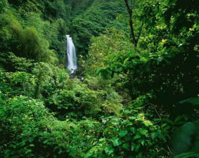 En Dominica