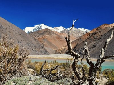 Laguna Blanca. San Juan. Argentina