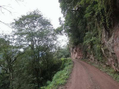 PN Calilegua. Jujuy. Argentina