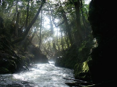 RÃ­o Palacios. Tierra del Fuego. Argentina