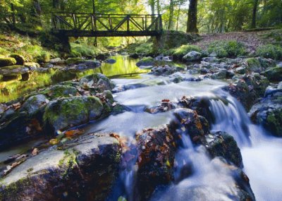 En Cantabria. EspaÃ±a