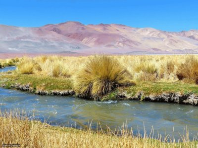 Cazadero Grande. Catamarca. Argentina