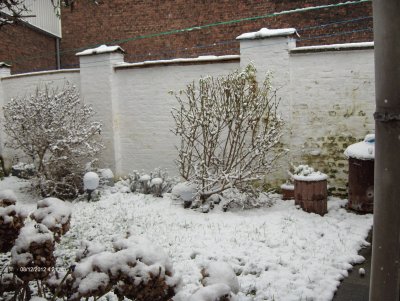 Hiver au jardin (Verviers-Belgium)