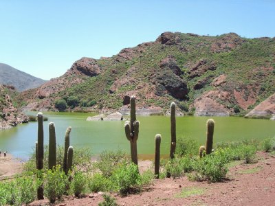 Laguna del Brealito. 2550 msnm. Salta. Argentina