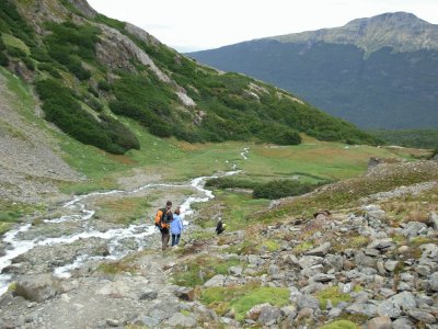 En Tierra del Fuego. Argentina