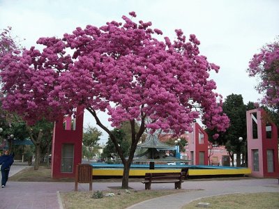 La Banda. Santiago del Estero. Argentina