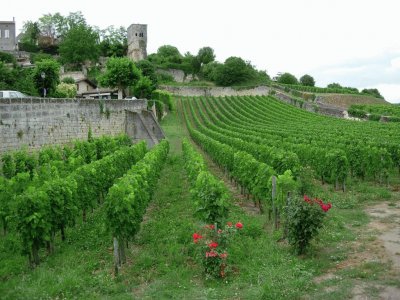 Saint-Ã‰milion. Francia