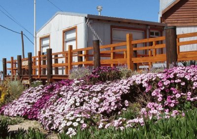 En Puerto PirÃ¡mides. Chubut. Argentina