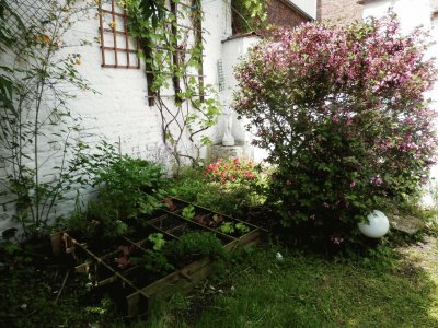 My GREAT garden (Verviers-Belgium)