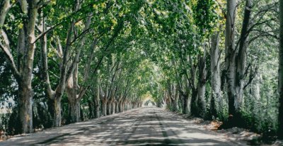 En San Rafael. Mendoza. Argentina