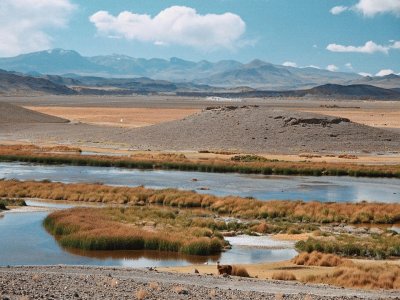 Antofagasta de la Sierra. Catamarca. Argentina