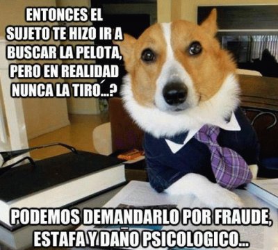 perro defensor