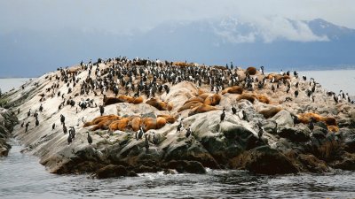 Cerca de Ushuaia. Tierra del Fuego. Argentina