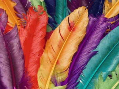 Jewel Tone Feathers