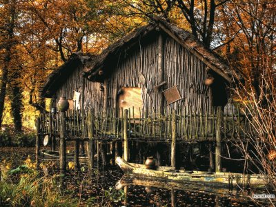 wooden house