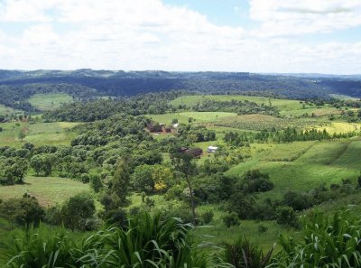 En el camino a MoconÃ¡. Misiones. Argentina