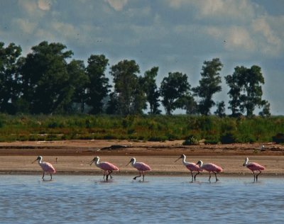 Mar Chiquita. CÃ³rdoba. Argentina