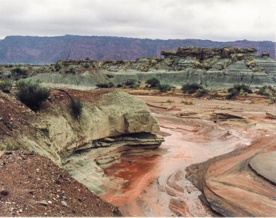 En la Provincia de San Juan. Argentina