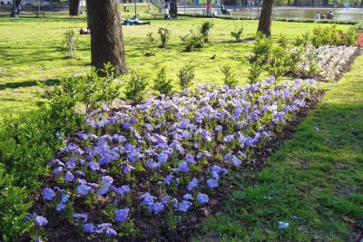 Parque Centenario. Ciudad de Buenos Aires. Argentina