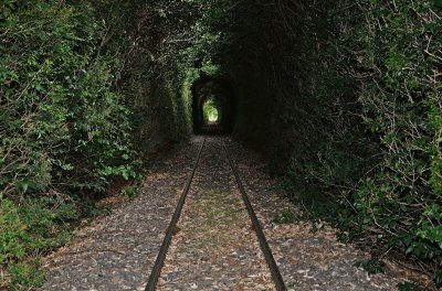 TÃºnel vegetal en Andonaegui. Buenos Aires. Argentina