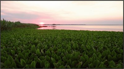 PN RÃ­o Pilcomayo. Formosa. Argentina