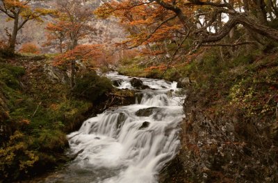 En Tierra del Fuego. Argentina