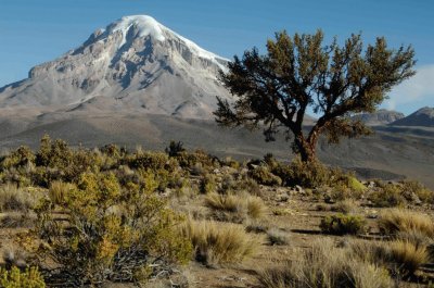 Sajama. Oruro. Bolivia