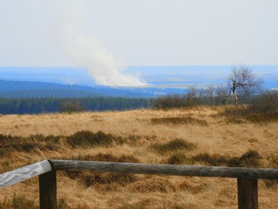 Feu dans les Fagnes (East Belgium)