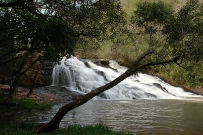 Cerca de OberÃ¡. Misiones  Argentina